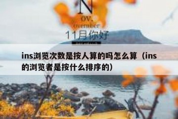 ins浏览次数是按人算的吗怎么算（ins的浏览者是按什么排序的）