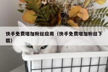 快手免费增加粉丝应用（快手免费增加粉丝下载）