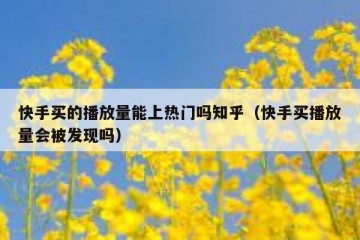 快手买的播放量能上热门吗知乎（快手买播放量会被发现吗）
