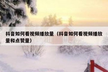 抖音如何看视频播放量（抖音如何看视频播放量和点赞量）