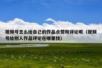 视频号怎么给自己的作品点赞和评论呢（视频号给别人作品评论在哪里找）