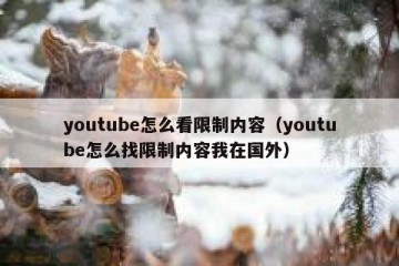 youtube怎么看限制内容（youtube怎么找限制内容我在国外）