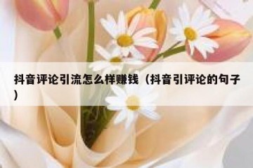 抖音评论引流怎么样赚钱（抖音引评论的句子）