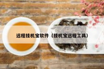 远程挂机宝软件（挂机宝远程工具）