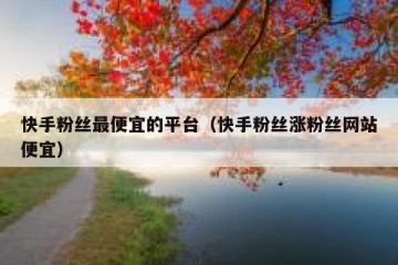 快手粉丝最便宜的平台（快手粉丝涨粉丝网站便宜）