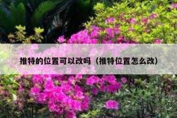 推特的位置可以改吗（推特位置怎么改）