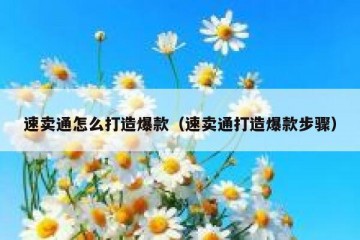速卖通怎么打造爆款（速卖通打造爆款步骤）