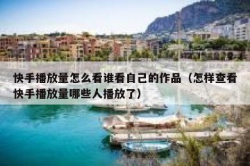 快手播放量怎么看谁看自己的作品（怎样查看快手播放量哪些人播放了）