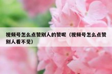 视频号怎么点赞别人的赞呢（视频号怎么点赞别人看不见）