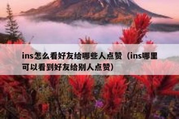ins怎么看好友给哪些人点赞（ins哪里可以看到好友给别人点赞）
