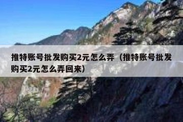 推特账号批发购买2元怎么弄（推特账号批发购买2元怎么弄回来）