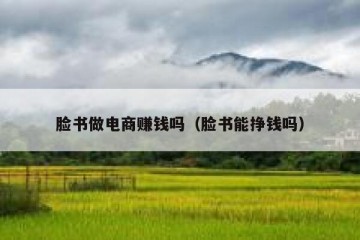 脸书做电商赚钱吗（脸书能挣钱吗）