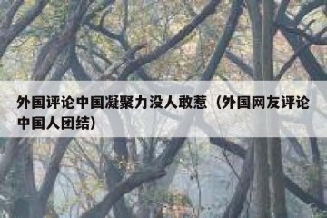 外国评论中国凝聚力没人敢惹（外国网友评论中国人团结）