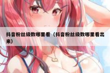 抖音粉丝级数哪里看（抖音粉丝级数哪里看出来）