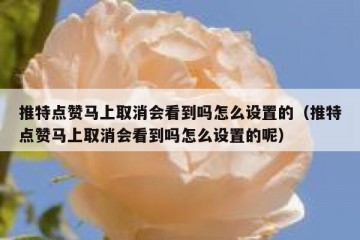 推特点赞马上取消会看到吗怎么设置的（推特点赞马上取消会看到吗怎么设置的呢）