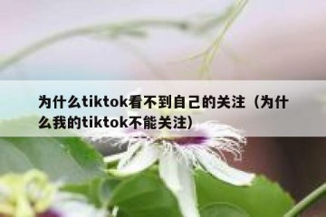 为什么tiktok看不到自己的关注（为什么我的tiktok不能关注）