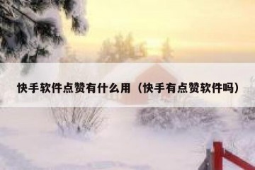 快手软件点赞有什么用(快手有点赞软件吗)