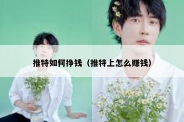 推特如何挣钱（推特上怎么赚钱）