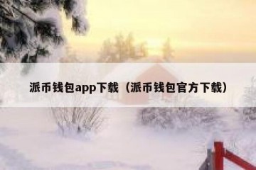 派币钱包app下载（派币钱包官方下载）
