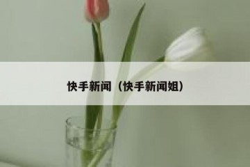 快手新闻（快手新闻姐）