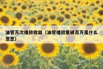油管万次播放收益（油管播放量破百万是什么意思）