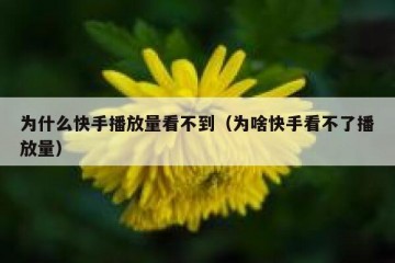 为什么快手播放量看不到（为啥快手看不了播放量）