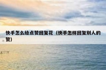 快手怎么给点赞回复花（快手怎样回复别人的赞）