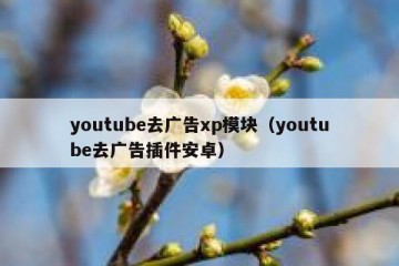 youtube去广告xp模块（youtube去广告插件安卓）