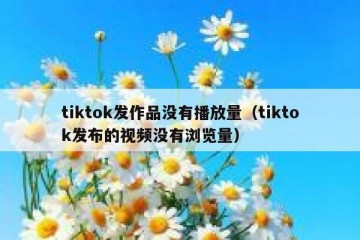 tiktok发作品没有播放量（tiktok发布的视频没有浏览量）