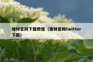 推特官网下载教程（推特官网twitter下载）