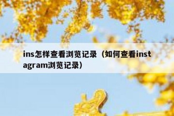 ins怎样查看浏览记录（如何查看instagram浏览记录）