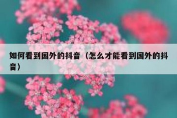 如何看到国外的抖音（怎么才能看到国外的抖音）