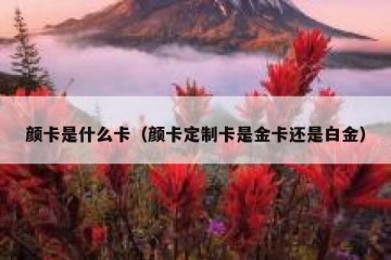 颜卡是什么卡（颜卡定制卡是金卡还是白金）