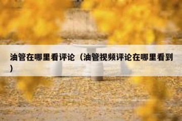 油管在哪里看评论（油管视频评论在哪里看到）