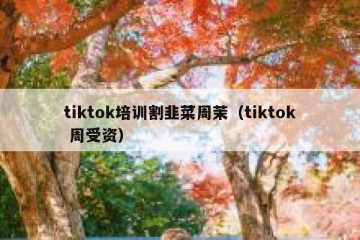 tiktok培训割韭菜周茉（tiktok 周受资）