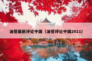 油管最新评论中国（油管评论中国2021）