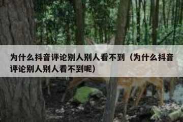 为什么抖音评论别人别人看不到（为什么抖音评论别人别人看不到呢）