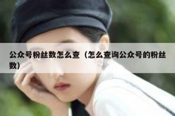 公众号粉丝数怎么查（怎么查询公众号的粉丝数）