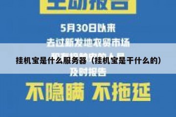 挂机宝是什么服务器（挂机宝是干什么的）