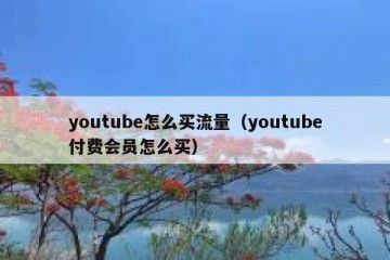 youtube怎么买流量（youtube付费会员怎么买）