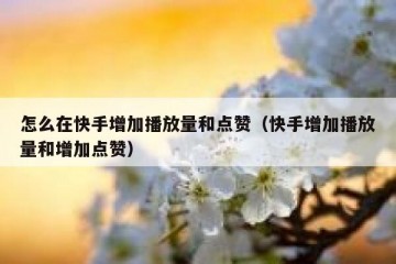 怎么在快手增加播放量和点赞（快手增加播放量和增加点赞）