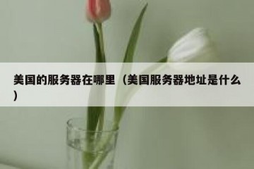 美国的服务器在哪里（美国服务器地址是什么）
