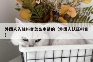 外国人入驻抖音怎么申请的（外国人认证抖音）