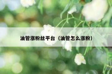 油管涨粉丝平台（油管怎么涨粉）