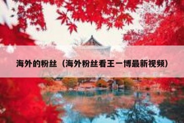 海外的粉丝（海外粉丝看王一博最新视频）