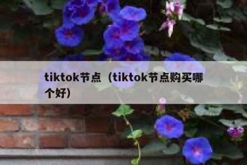 tiktok节点（tiktok节点购买哪个好）