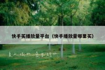 快手买播放量平台（快手播放量哪里买）
