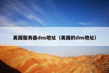 美国服务器dns地址（美国的dns地址）