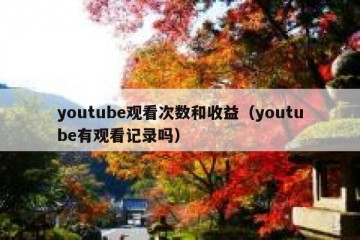 youtube观看次数和收益（youtube有观看记录吗）