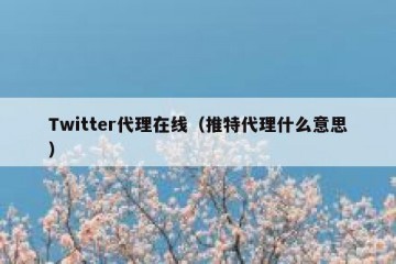 Twitter代理在线（推特代理什么意思）